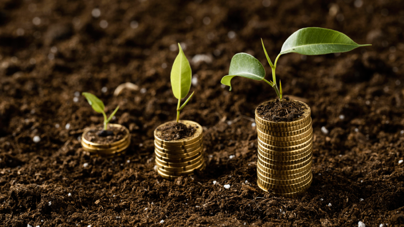 سرمایه‌ گذاری خرد