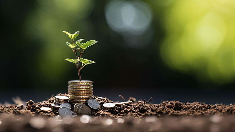 بیمه اعتباری در تامین مالی جمعی، تضمین سرمایه و مدیریت ریسک 