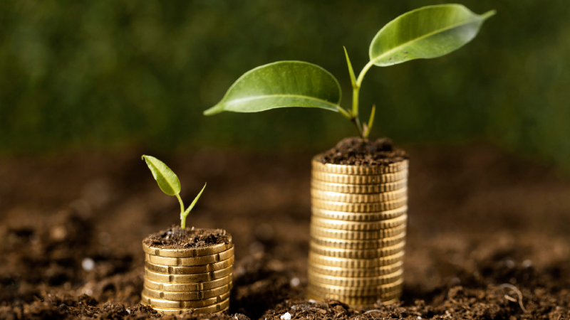 سرمایه‌ گذاری اجتماعی